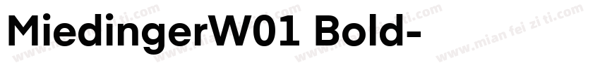 MiedingerW01 Bold字体转换